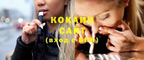 прущая мука Вяземский